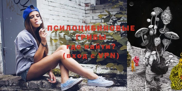 мет Алексин